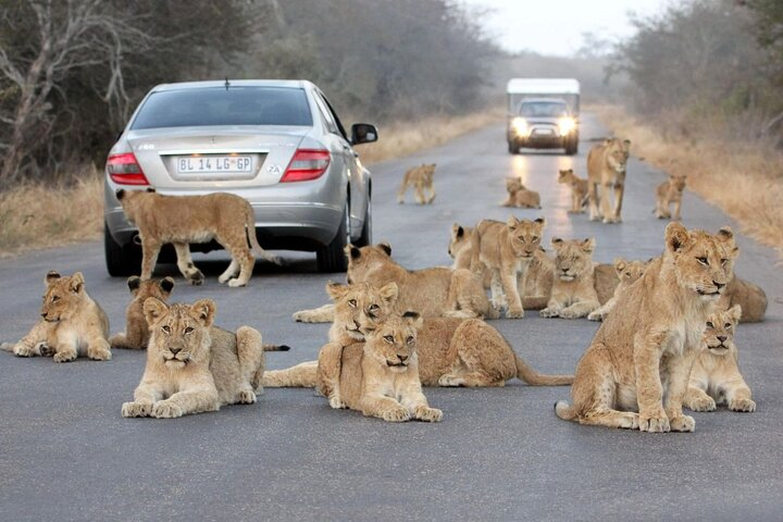 10-Day Private Tour Johannesburg to Cape Town - Photo 1 of 16